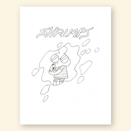 Shrimps by Thu Tran